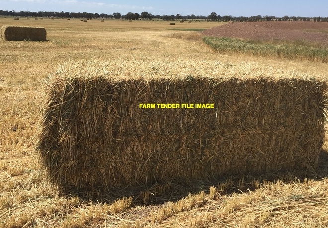 Shedded Wheaten Hay 8x4x3 Bales