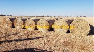 Wyn Cassia Pasture Grass   Seller to Freight