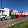 Canola Silage 4x4 Bales Fine Chopped - PRICE REDUCTION