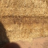 8x4x3 Straw Top Bales For Sale