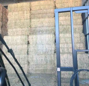 500 m/t of A1 Vetch Hay Seller to Freight