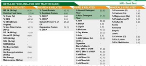 Barley Vetch Hay 8x4x3 Bales Seller to Freight