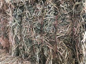 Oaten Hay 650kg 8x4x3 Bales