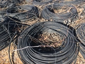 Grape drip line