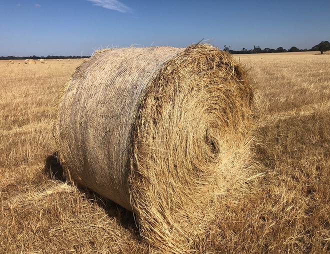450 x Barley/Ryegrass Hay 5x4 Rolls