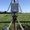 50 acre Pearce Pivot 