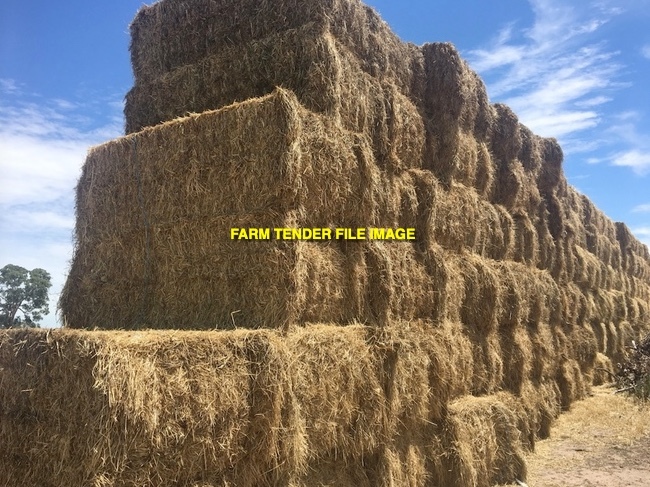 22mt Balansa Clover/Rye Grass Hay 500-550kg 8x4x3 Bales (Gippsland Area Only) + Freight