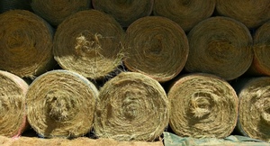 50 Teff Hay 5x4 Round Bales