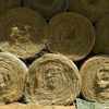 50 Teff Hay 5x4 Round Bales