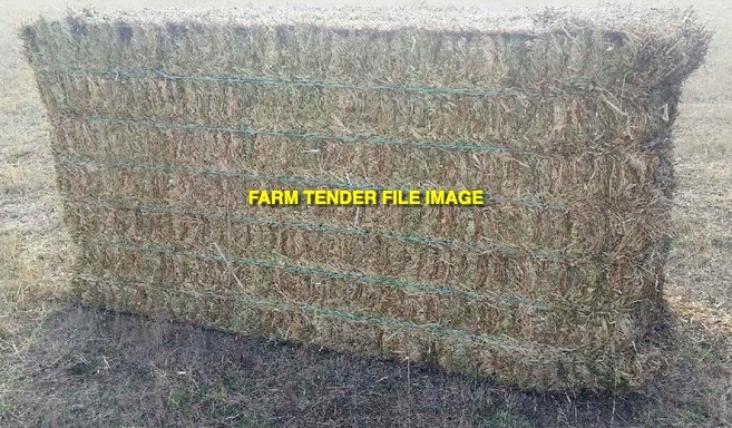 140mt Clover Hay 600kg 8x4x3 Bales