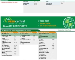 New Season Grape Marc Available 