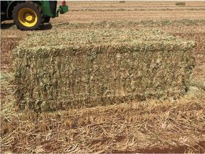 Wheaten Hay 8x4x3 and 5x4 rounds available
