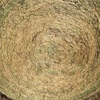 Clover & Rye Pasture Hay 400kg 5x4 Bales