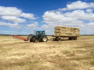 Tractor with or without implaments for hire or contract basis