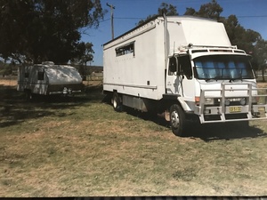 Mitsubishi FM 515 Horse /Stud Cattle Truck