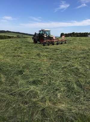 320 x Silage 600kg Round Bales