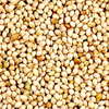 millet seed