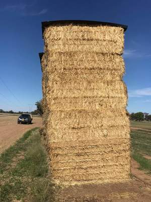 36mt Wheaten Hay 600kg 8x4x3 Bales