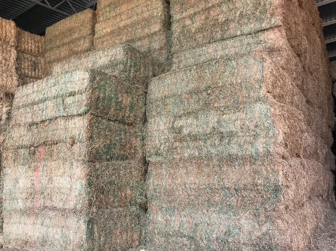 Vetch Hay 700-750kg 8x4x3 Bales (1 x Single or 1 x B Double)