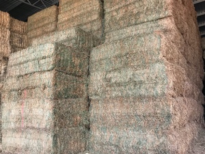 Vetch Hay 700-750kg 8x4x3 Bales (1 x Single or 1 x B Double)