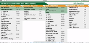 70 Barley Hay 650kg approx 8x4x3 Bales For Sale