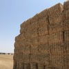 Under Auction - Wheaten Straw 128 - 8x4x3 Bales approx 480 kgs - Sold By The Ton -