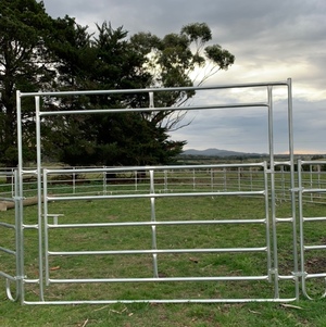 Livestock/Cattle Yard or horse yard gate only 