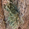 130mt Vetch Hay 8x4x3