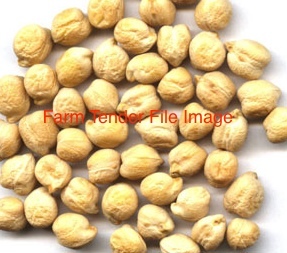 5mt Hatrick Chickpea Seed - Graded & Pickled