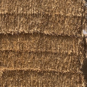 Wheaten Hay 650kg 8x4x3 Bales (1 x B Double) 
