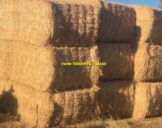 40mt Old Season Canola Straw Tailings (2 x BD Loads)