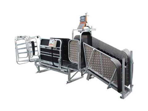 Gallagher Sheep Handler