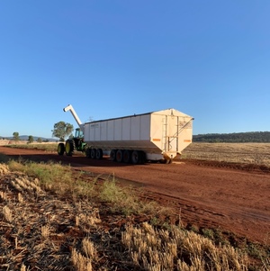 80t McQuinn Mother Bin