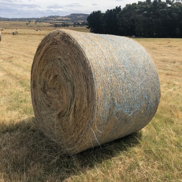Pasture hay, 5 x 4 rounds