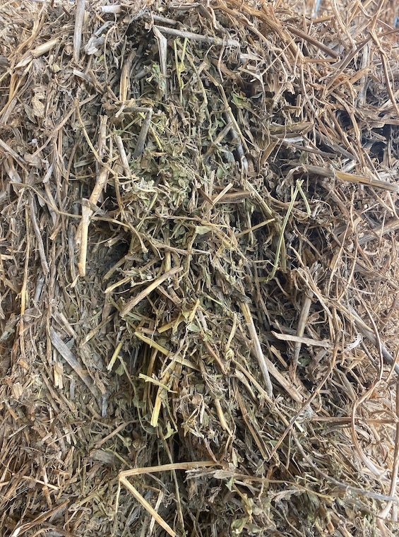 350mt Vetch Hay 550kg 8x4x3 Bales (New Season)