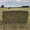 Pea Hay 720kg 8x4x4 Bales