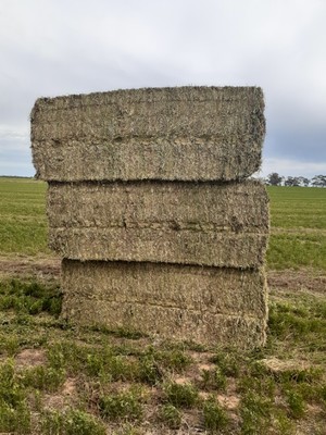 Vetch Hay Baling now