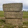Vetch Hay Baling now