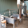 50 Stand Rotary Dairy 