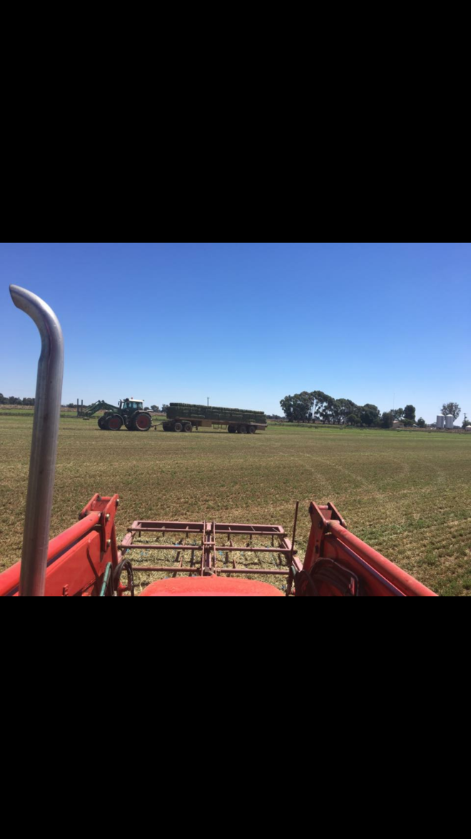 Small Square Gravity Feed Accumulator