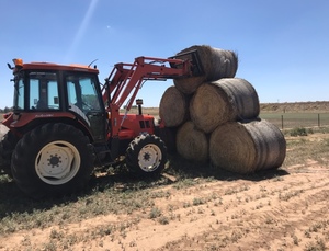 Daedong DK 75c with Loader