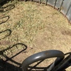Wheaten Hay 8x4x3 Bales approx. 580kg
