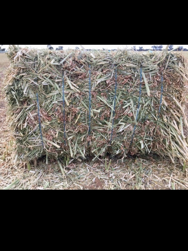 Canola Hay 8x4x3 Bales (1 x B Double Loads)