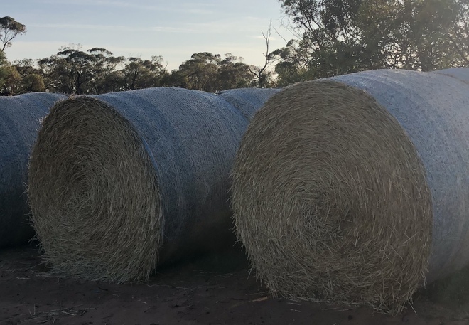 Barley Straw 6x5 Round Bales