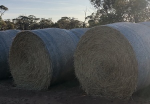 Barley Straw 6x5 Round Bales