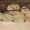 14 Rolls . Wheaten Hay - SOLD PER BALE 