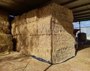 45 x Wheaten Hay 450kg approx