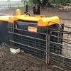 Gallagher 3 Way Sheep Auto Drafter