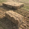 Small squares hay rye/clover