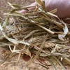 240mt Wheaten Hay 500kg 8x4x3 Bales